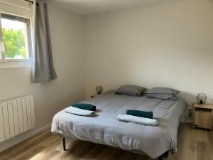 Maisons de vacances La Noue : photos des chambres