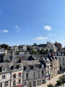 Appartements Spacieux appartement a Blois : photos des chambres