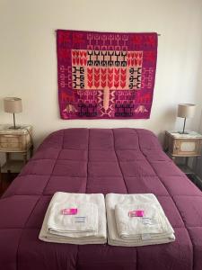 Mendoza 9 de Julio peatonal