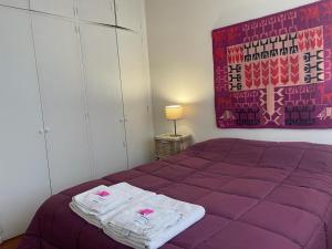 Mendoza 9 de Julio peatonal