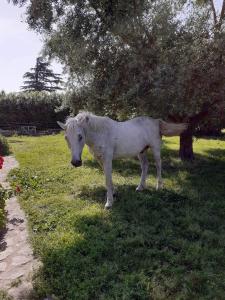 B&B / Chambres d'hotes Le Papillon De Soie : photos des chambres