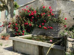 B&B / Chambres d'hotes Le Papillon De Soie : photos des chambres