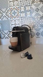 sea view villa with garden