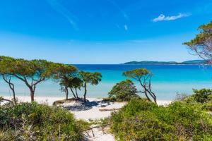 Alghero d'Estate img22