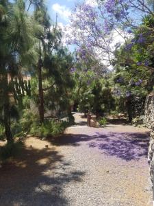 Stilvolle Villa in Teneriffa Süd