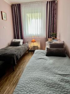 Lakeside Family Apartment