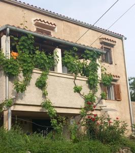 Holiday Home Loznati