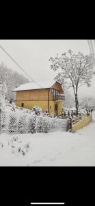 Green House Latin Grad