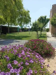 Kellys house - Mesimérion