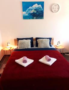 Abelia Pool View Studio 