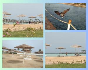 Scandic Resort in Hurghada, EGYPT