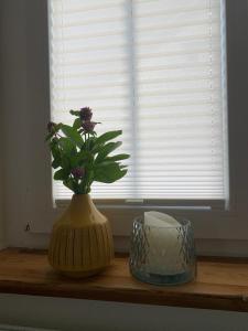 Ferienwohnungen BohnerWohnung Elisabeth