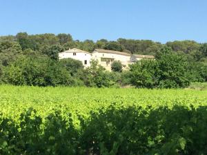 Maisons de vacances Mas provencal dans un lieu exceptionnel : Maison 3 Chambres