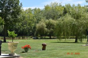 Appartements Le Cast'L 2 Coin de paradis en bord de Dordogne : photos des chambres