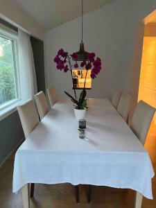 Trevligt hus med vacker omgivning