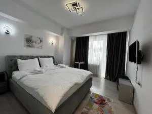 Relaxing and Beautiful Apartments in Centre of Historical Suceava - Ipoteşti