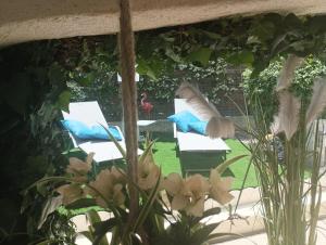 Mimilou Mont St Loup piscine privée