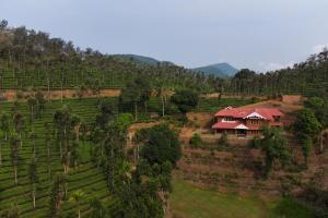 StayVista at Regal Retreat Middle of Tea Estate