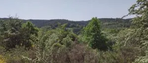 Seßles Waldhäusschen Dietzhausen - Dillstädt