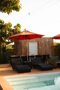 Bougain Villas