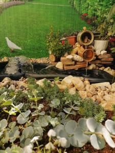 Apartmani Marina Poreč