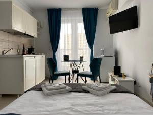 Old Town Studio - Victoriei 1