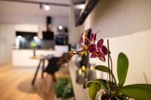 place2be - with infinity pool