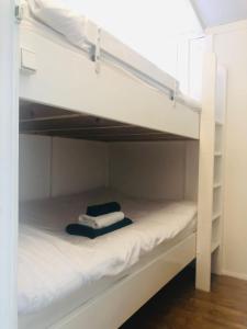 Tiny house t Heidehoes in Usselo