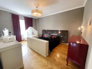 Spacious apartment in city center