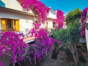 El Penell Apartament Xaloc