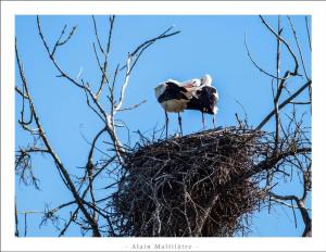 Appartements ENTRE TERRE ET MER : photos des chambres