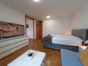 Apartment Zala with free parking Tour As Ljubljana 