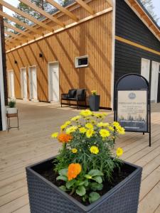 Luksustelttailua Saimaan Pistohiekalla