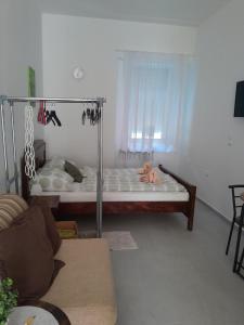 Apartmani studio apartmani Senjska maslina 