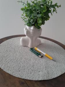 Apartmani studio apartmani Senjska maslina