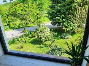 House Under The Maple Tree