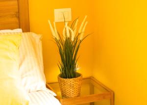 La casetta degli innamorati