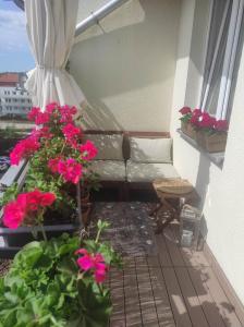 Apartament z 3 sypialniami - parking bezpłatny