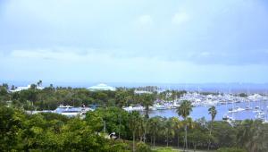 Relaxing Condo Hotel In The Grove, Free Parking