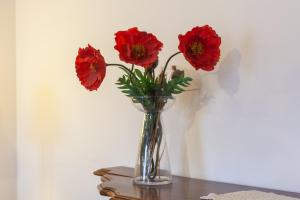 Casa Chanel a Marina di Carrara