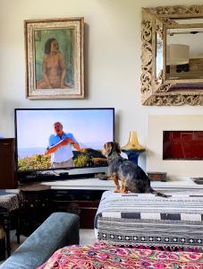 Eclectic Barn - Pergola & Dog-Friendly Garden