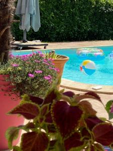B&B / Chambres d'hotes Chambres dans villa avec piscine : Chambre Double Deluxe (2 Adultes + 1 Enfant) - Non remboursable