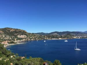 Appartements SUNCOAST - Les Terrasses de l' Esterel - Theoule sur Mer : photos des chambres