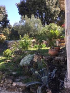 Bâtisse dans un domaine provençal