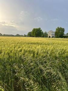 B&B / Chambres d'hotes Suite a la Villa Cattus : photos des chambres