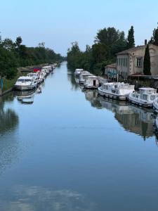 B&B / Chambres d'hotes Suite a la Villa Cattus : photos des chambres