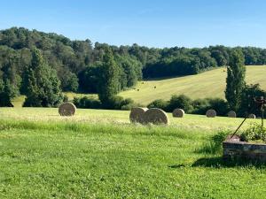 Maisons de vacances Hallyday at Bassinaud : photos des chambres