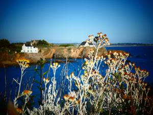 Hotels Hotel L'Oree des plages : photos des chambres