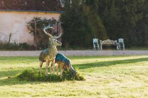 Hotels Chateau De Razay : photos des chambres