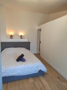 Appartements Moderne et chaleureux duplex en centre-ville : photos des chambres